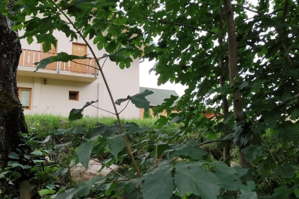 Apartmani Vuk 2 Kolasin Exterior photo